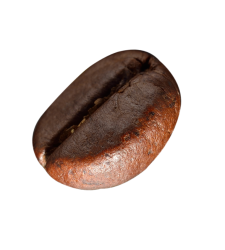 coffee bean transparent