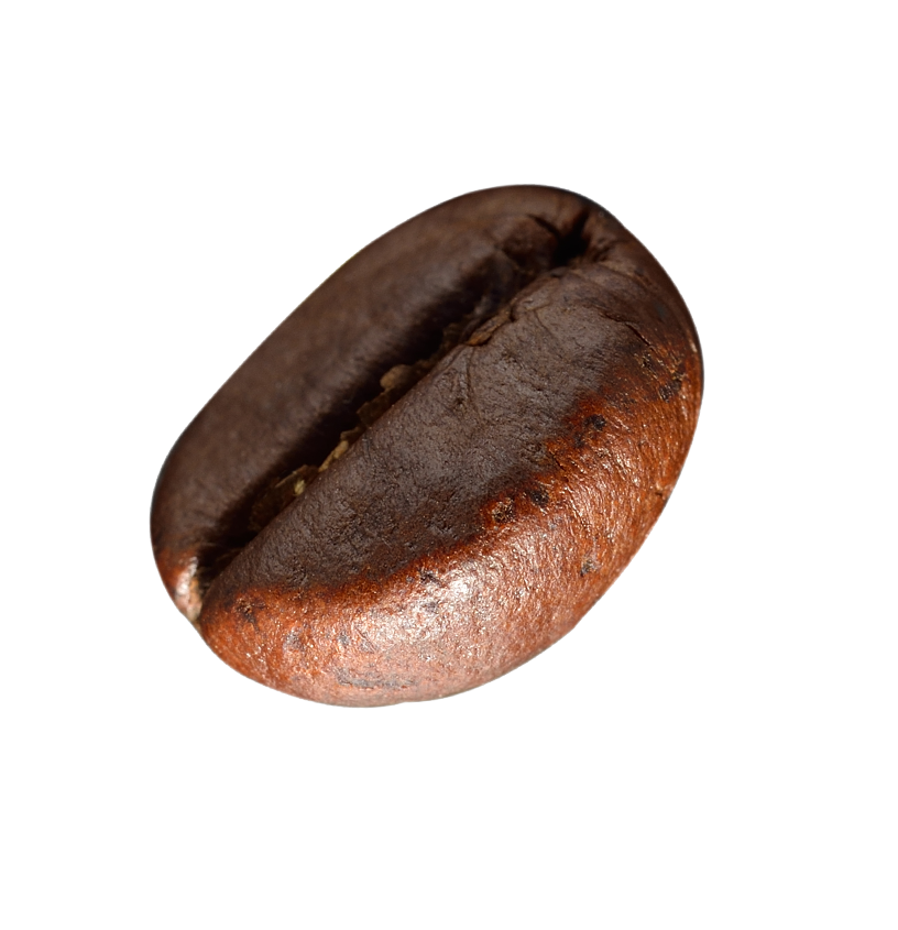 coffee bean transparent